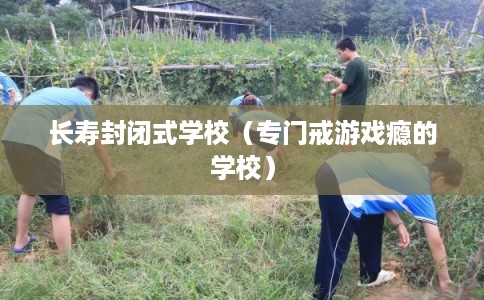 长寿封闭式学校(专门戒游戏瘾的学校) 长寿封闭式学校(专门戒游戏瘾的学校)