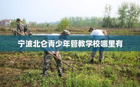 宁波北仑青少年管教学校哪里有