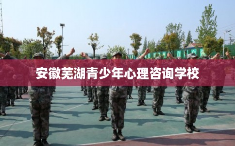 安徽芜湖青少年心理咨询学校 安徽芜湖青少年心理咨询学校