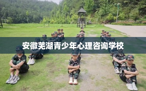 安徽芜湖青少年心理咨询学校