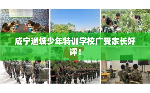 咸宁通城少年特训学校广受家长好评！