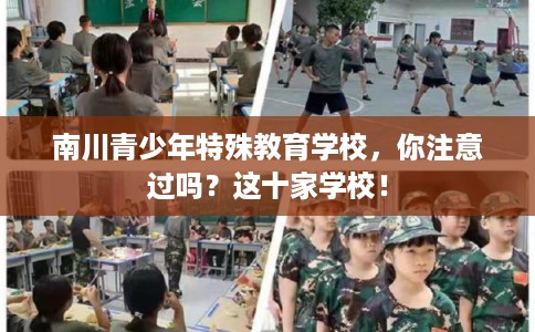 南川青少年特殊教育学校，你注意过吗？这十家学校！