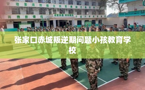 张家口赤城叛逆期问题小孩教育学校