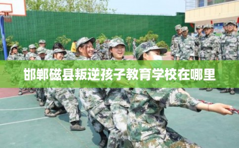 邯郸磁县叛逆孩子教育学校在哪里 邯郸磁县叛逆孩子教育学校在哪里