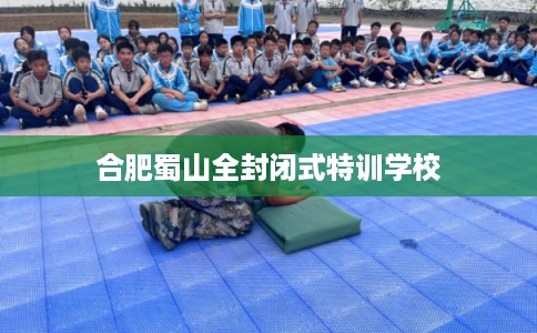 合肥蜀山全封闭式特训学校