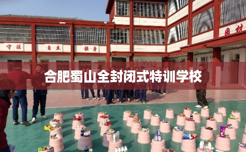 合肥蜀山全封闭式特训学校