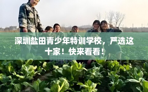 深圳盐田青少年特训学校，严选这十家！快来看看！