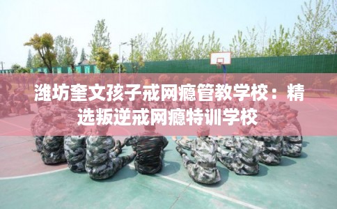 潍坊奎文孩子戒网瘾管教学校:精选叛逆戒网瘾特训学校 潍坊奎文孩子戒网瘾管教学校:精选叛逆戒网瘾特训学校