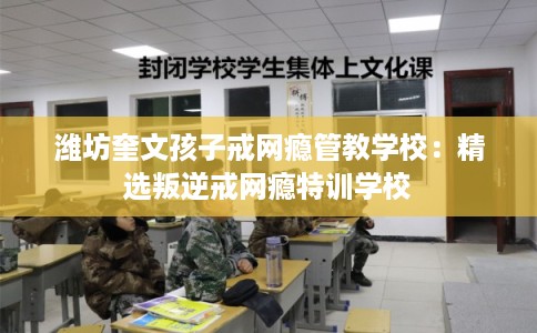 潍坊奎文孩子戒网瘾管教学校:精选叛逆戒网瘾特训学校 潍坊奎文孩子戒网瘾管教学校:精选叛逆戒网瘾特训学校