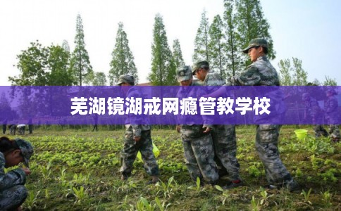 芜湖镜湖戒网瘾管教学校