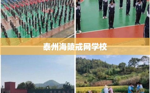 泰州海陵戒网学校 泰州海陵戒网学校