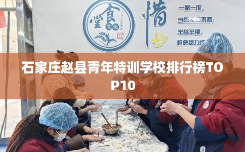 石家庄赵县青年特训学校排行榜TOP10