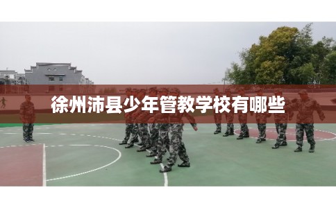 徐州沛县少年管教学校有哪些 徐州沛县少年管教学校有哪些