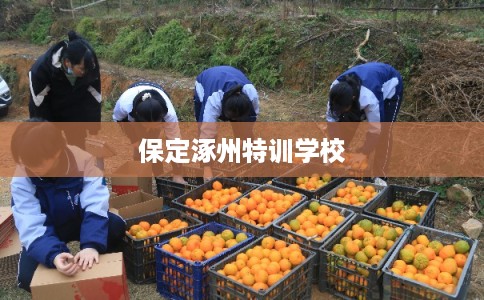 保定涿州特训学校