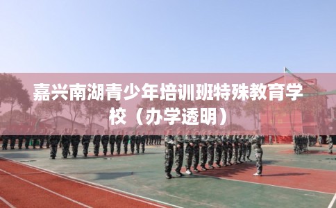 嘉兴南湖青少年培训班特殊教育学校（办学透明）