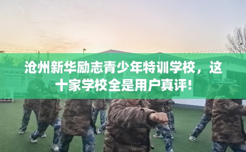 沧州新华励志青少年特训学校，这十家学校全是用户真评!