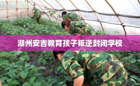 湖州安吉教育孩子叛逆封闭学校 湖州安吉教育孩子叛逆封闭学校