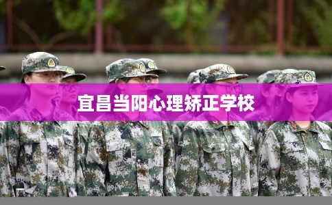 宜昌当阳心理矫正学校 宜昌当阳心理矫正学校
