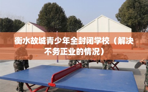 衡水故城青少年全封闭学校（解决不务正业的情况）