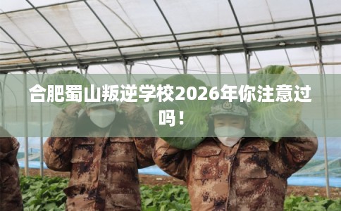 合肥蜀山叛逆学校2026年你注意过吗! 合肥蜀山叛逆学校2026年你注意过吗!