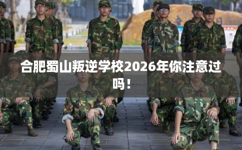 合肥蜀山叛逆学校2026年你注意过吗！