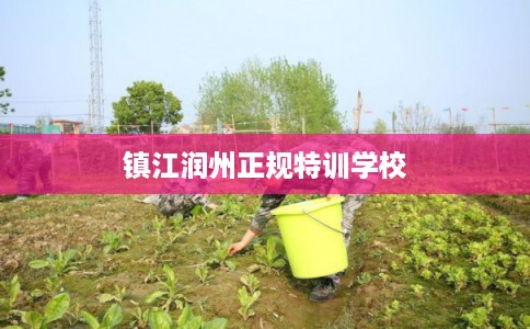 镇江润州正规特训学校