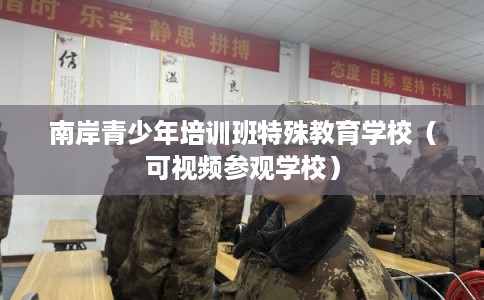 南岸青少年培训班特殊教育学校(可视频参观学校) 南岸青少年培训班特殊教育学校(可视频参观学校)