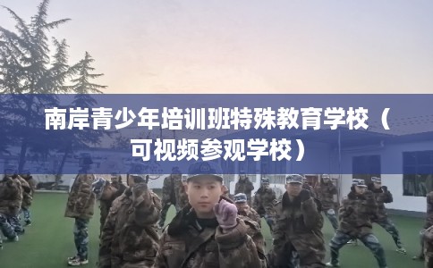 南岸青少年培训班特殊教育学校（可视频参观学校）