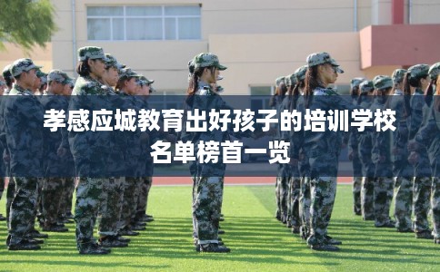 孝感应城教育出好孩子的培训学校名单榜首一览