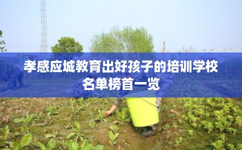 孝感应城教育出好孩子的培训学校名单榜首一览