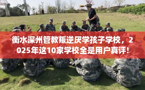 衡水深州管教叛逆厌学孩子学校，2025年这10家学校全是用户真评!