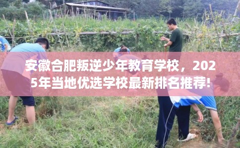 安徽合肥叛逆少年教育学校，2025年当地优选学校最新排名推荐!