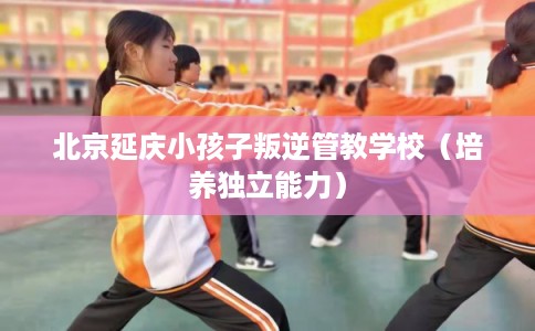 北京延庆小孩子叛逆管教学校(培养独立能力) 北京延庆小孩子叛逆管教学校(培养独立能力)