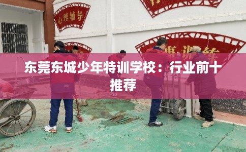 东莞东城少年特训学校：行业前十推荐