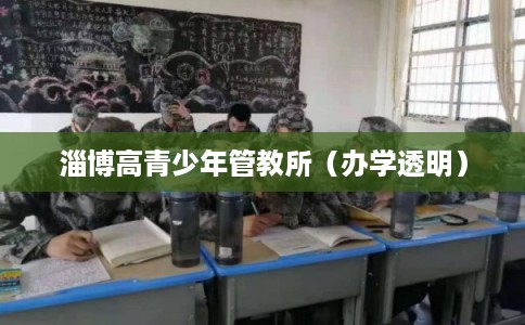 淄博高青少年管教所(办学透明) 淄博高青少年管教所(办学透明)