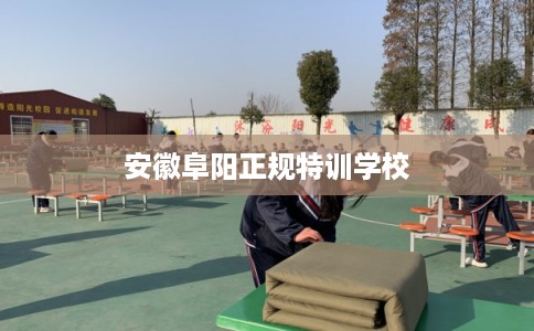 安徽阜阳正规特训学校