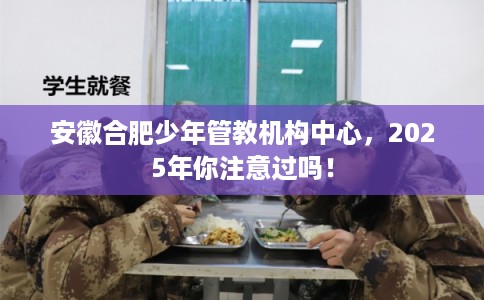 安徽合肥少年管教机构中心，2025年你注意过吗！