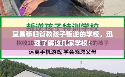 宜昌秭归管教孩子叛逆的学校，迅速了解这几家学校！