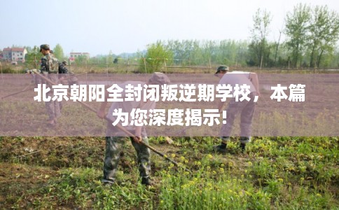 北京朝阳全封闭叛逆期学校，本篇为您深度揭示!