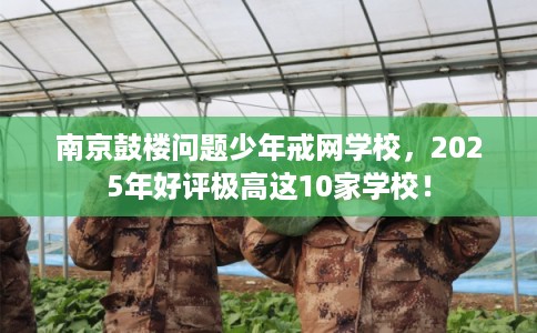 南京鼓楼问题少年戒网学校，2025年好评极高这10家学校！