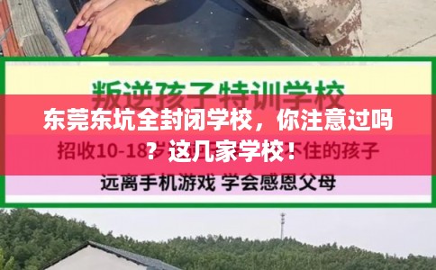 东莞东坑全封闭学校，你注意过吗？这几家学校！