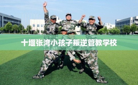 十堰张湾小孩子叛逆管教学校