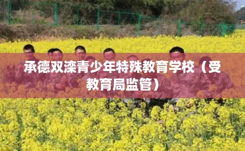 承德双滦青少年特殊教育学校（受教育局监管）