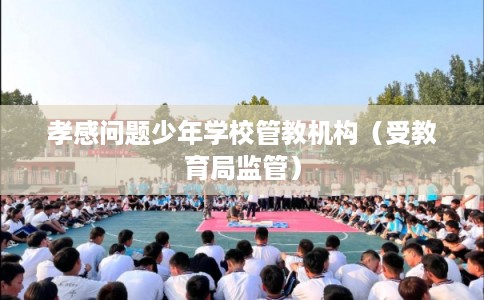 孝感问题少年学校管教机构（受教育局监管）