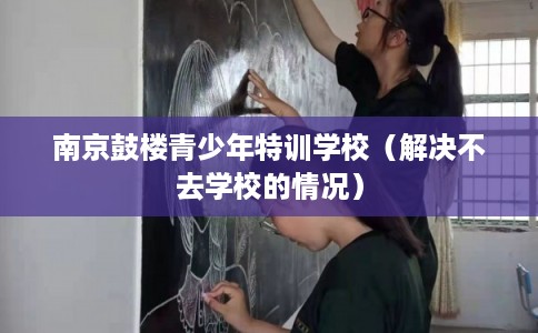 南京鼓楼青少年特训学校（解决不去学校的情况）
