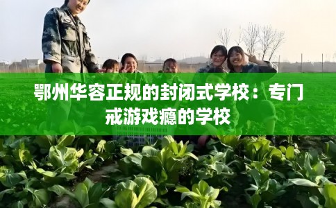 鄂州华容正规的封闭式学校：专门戒游戏瘾的学校