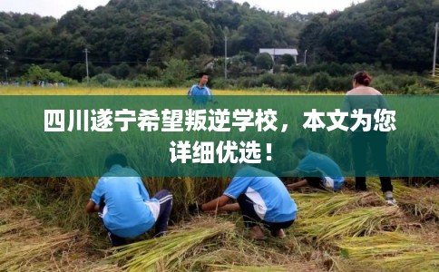 四川遂宁希望叛逆学校，本文为您详细优选！