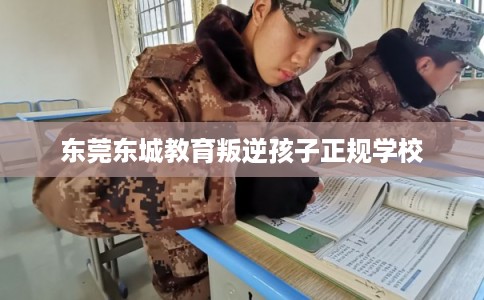 东莞东城教育叛逆孩子正规学校