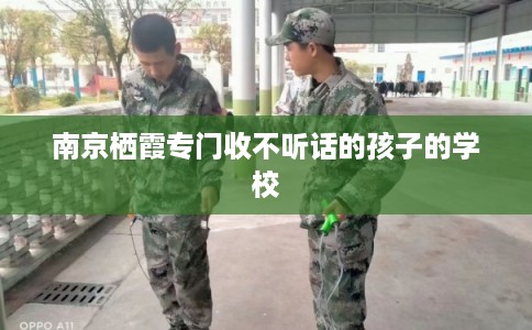 南京栖霞专门收不听话的孩子的学校