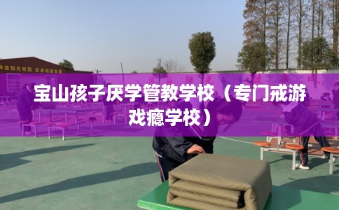 宝山孩子厌学管教学校（专门戒游戏瘾学校）